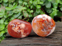 Polished Carnelian Agate Gemstone Palm Stones x 12 From Madagascar