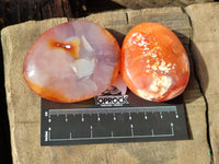 Polished Carnelian Agate Gemstone Palm Stones x 12 From Madagascar