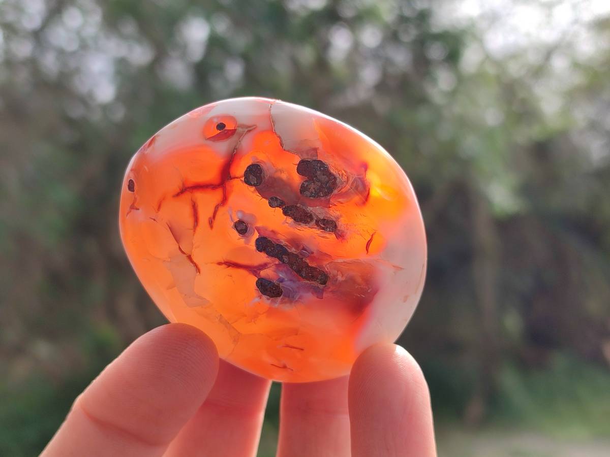 Polished Carnelian Agate Gemstone Palm Stones x 12 From Madagascar - Toprock Gemstones and Minerals 