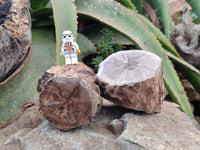 Polished On One Side Petrified Wood Branches x 3 From Gokwe, Zimbabwe