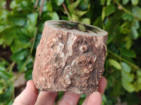 Polished On One Side Petrified Wood Branches x 3 From Gokwe, Zimbabwe