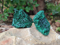 Natural Silky Malachite Specimens x 6 From Kasompe, Congo
