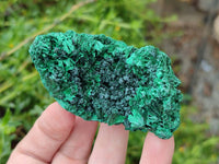 Natural Silky Malachite Specimens x 6 From Kasompe, Congo