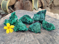 Natural Silky Malachite Specimens x 6 From Kasompe, Congo