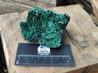 Natural Silky Malachite Specimens x 6 From Kasompe, Congo