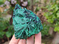 Natural Silky Malachite Specimens x 6 From Kasompe, Congo