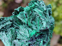 Natural Silky Malachite Specimens x 6 From Kasompe, Congo