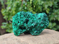 Natural Silky Malachite Specimens x 6 From Kasompe, Congo