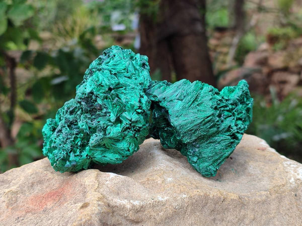 Natural Silky Malachite Specimens x 6 From Kasompe, Congo