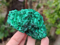 Natural Silky Malachite Specimens x 6 From Kasompe, Congo