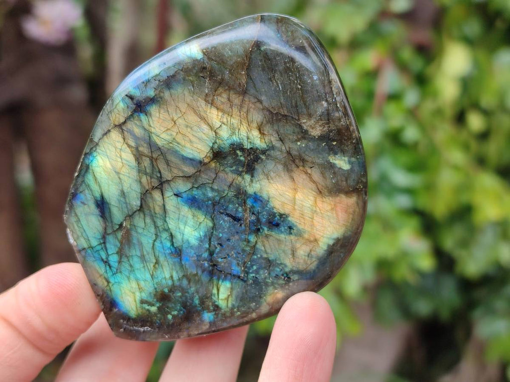 Polished Labradorite Standing Free Forms x 6 From Tulear, Madagascar - Toprock Gemstones and Minerals 