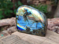 Polished Labradorite Standing Free Forms x 6 From Tulear, Madagascar