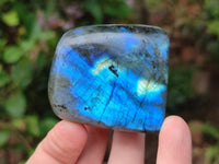 Polished Labradorite Standing Free Forms x 6 From Tulear, Madagascar