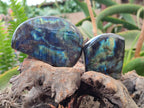 Polished Labradorite Standing Free Forms x 6 From Tulear, Madagascar - Toprock Gemstones and Minerals 