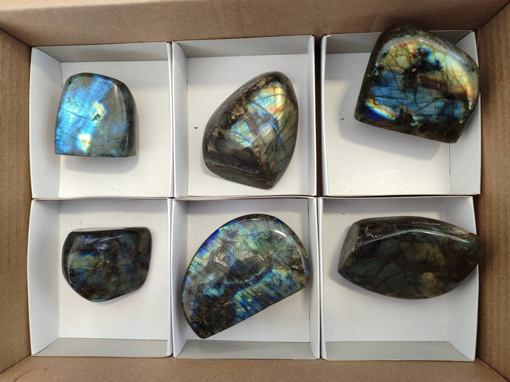 Polished Labradorite Standing Free Forms x 6 From Tulear, Madagascar - Toprock Gemstones and Minerals 