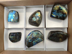 Polished Labradorite Standing Free Forms x 6 From Tulear, Madagascar - Toprock Gemstones and Minerals 