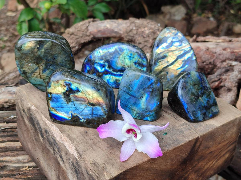Polished Labradorite Standing Free Forms x 6 From Tulear, Madagascar - Toprock Gemstones and Minerals 