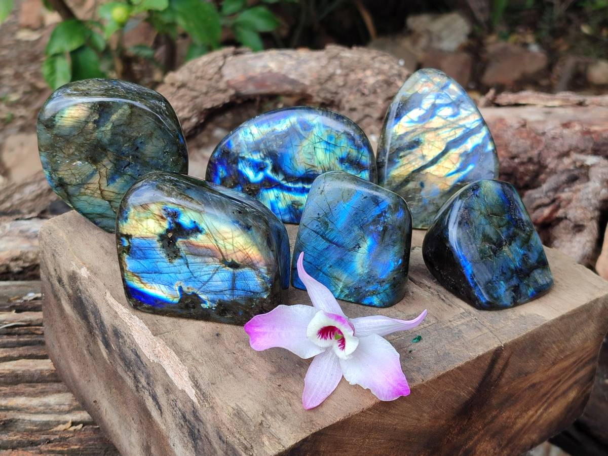 Polished Labradorite Standing Free Forms x 6 From Tulear, Madagascar - Toprock Gemstones and Minerals 