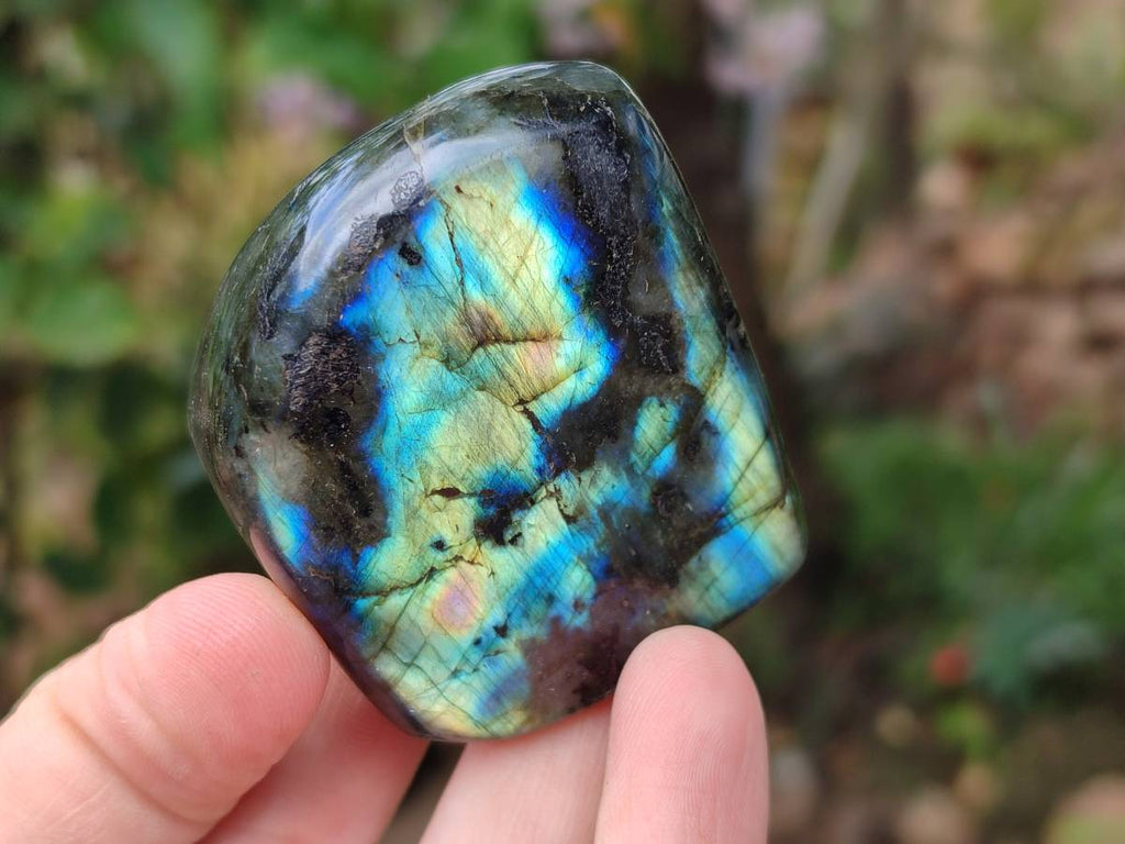 Polished Labradorite Standing Free Forms x 6 From Tulear, Madagascar - Toprock Gemstones and Minerals 