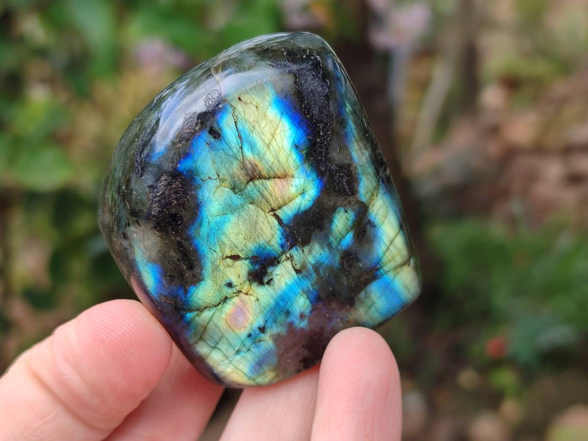 Polished Labradorite Standing Free Forms x 6 From Tulear, Madagascar - Toprock Gemstones and Minerals 