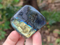 Polished Labradorite Standing Free Forms x 6 From Tulear, Madagascar