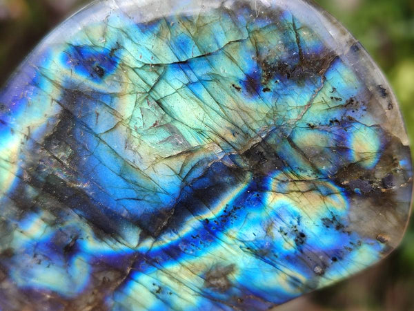 Polished Labradorite Standing Free Forms x 6 From Tulear, Madagascar