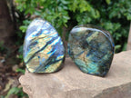 Polished Labradorite Standing Free Forms x 6 From Tulear, Madagascar - Toprock Gemstones and Minerals 