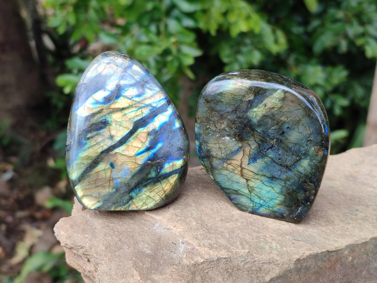 Polished Labradorite Standing Free Forms x 6 From Tulear, Madagascar - Toprock Gemstones and Minerals 