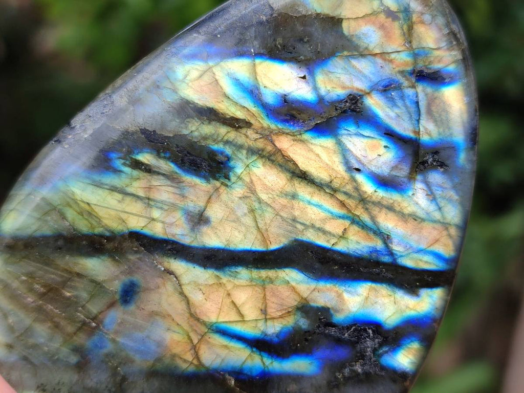 Polished Labradorite Standing Free Forms x 6 From Tulear, Madagascar - Toprock Gemstones and Minerals 