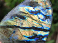 Polished Labradorite Standing Free Forms x 6 From Tulear, Madagascar