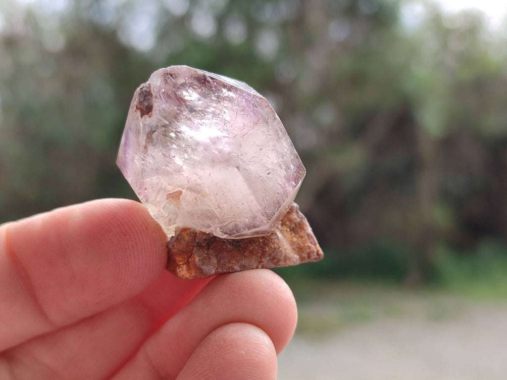 Natural Window Amethyst Crystals x 20 From Chiredzi, Zimbabwe - Toprock Gemstones and Minerals 