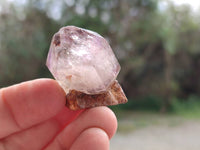 Natural Window Amethyst Crystals x 20 From Chiredzi, Zimbabwe