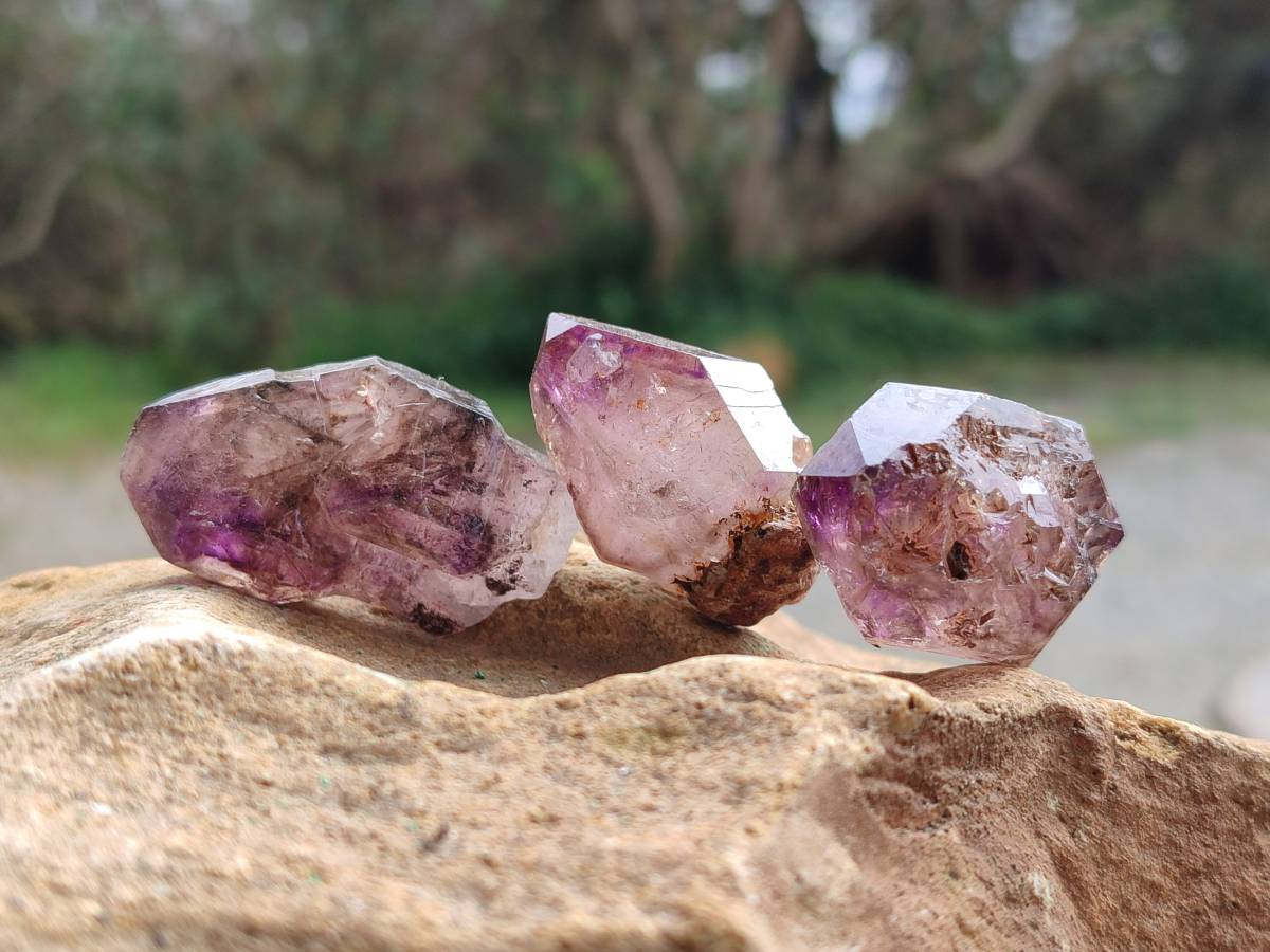 Natural Window Amethyst Crystals x 20 From Chiredzi, Zimbabwe - Toprock Gemstones and Minerals 