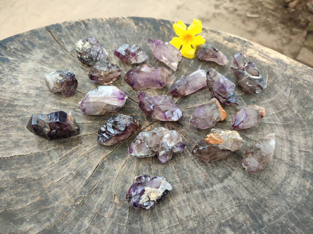 Natural Window Amethyst Crystals x 20 From Chiredzi, Zimbabwe - Toprock Gemstones and Minerals 