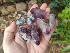 Natural Window Amethyst Crystals x 20 From Chiredzi, Zimbabwe - Toprock Gemstones and Minerals 