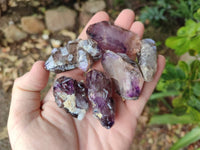 Natural Window Amethyst Crystals x 20 From Chiredzi, Zimbabwe