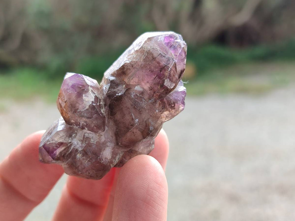 Natural Window Amethyst Crystals x 20 From Chiredzi, Zimbabwe - Toprock Gemstones and Minerals 