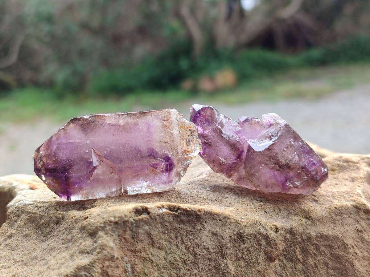 Natural Window Amethyst Crystals x 20 From Chiredzi, Zimbabwe - Toprock Gemstones and Minerals 