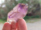 Natural Window Amethyst Crystals x 20 From Chiredzi, Zimbabwe - Toprock Gemstones and Minerals 