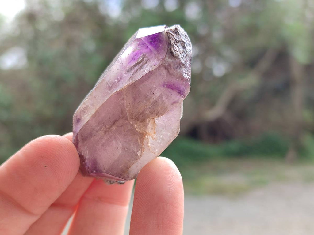 Natural Window Amethyst Crystals x 20 From Chiredzi, Zimbabwe - Toprock Gemstones and Minerals 