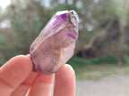 Natural Window Amethyst Crystals x 20 From Chiredzi, Zimbabwe - Toprock Gemstones and Minerals 