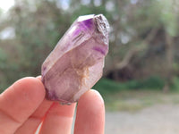 Natural Window Amethyst Crystals x 20 From Chiredzi, Zimbabwe