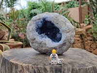 Natural Blue Celestite Geode Specimen x 1 From Sakoany,