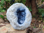Natural Blue Celestite Geode Specimen x 1 From Sakoany, - Toprock Gemstones and Minerals 