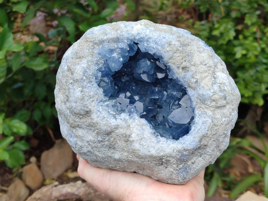 Natural Blue Celestite Geode Specimen x 1 From Sakoany, - Toprock Gemstones and Minerals 
