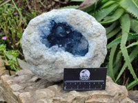 Natural Blue Celestite Geode Specimen x 1 From Sakoany,