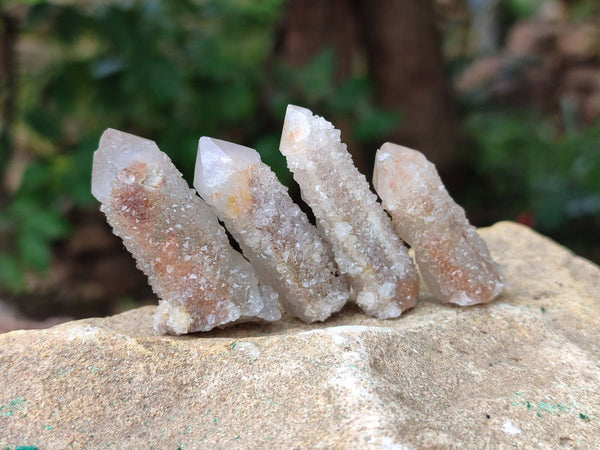 Natural Fairy Spirit Quartz Crystals x 70 From Boekenhouthoek, South Africa