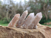 Natural Fairy Spirit Quartz Crystals x 70 From Boekenhouthoek, South Africa