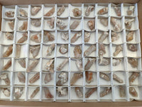Natural Fairy Spirit Quartz Crystals x 70 From Boekenhouthoek, South Africa