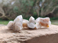 Natural Fairy Spirit Quartz Crystals x 70 From Boekenhouthoek, South Africa